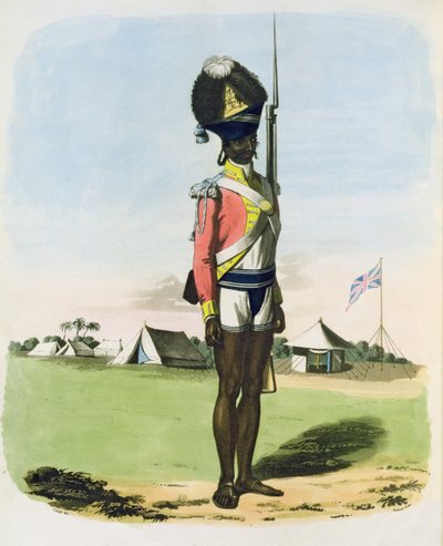 A Naigue of the Bombay Battalion, Plate 28 from 